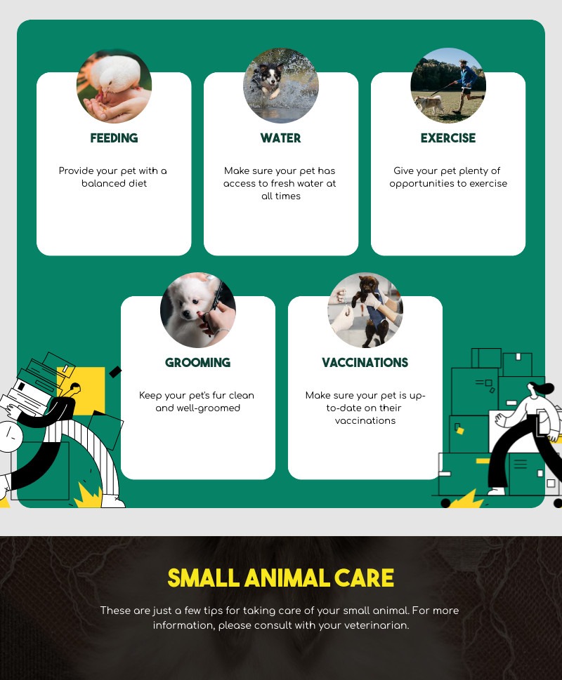 Tips for Animal Care